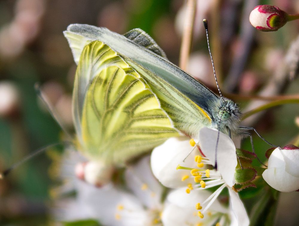 Photograph by Анна Евдокименко