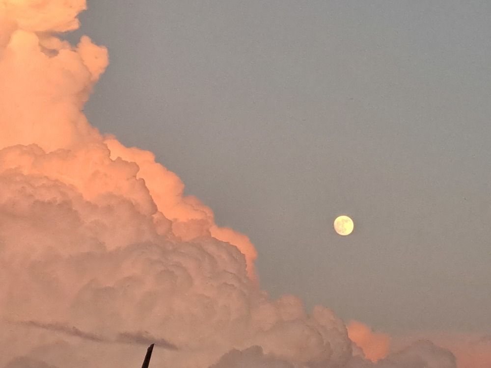 Photograph by Anna Volodina