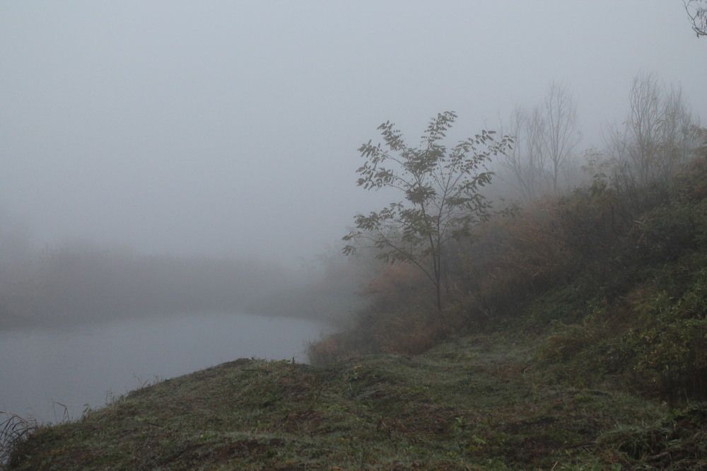 Photograph by Татьяна Долгушева