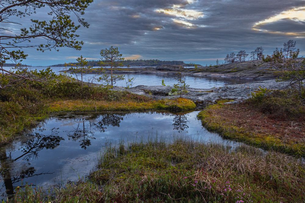 Photograph by Гордий Михаил