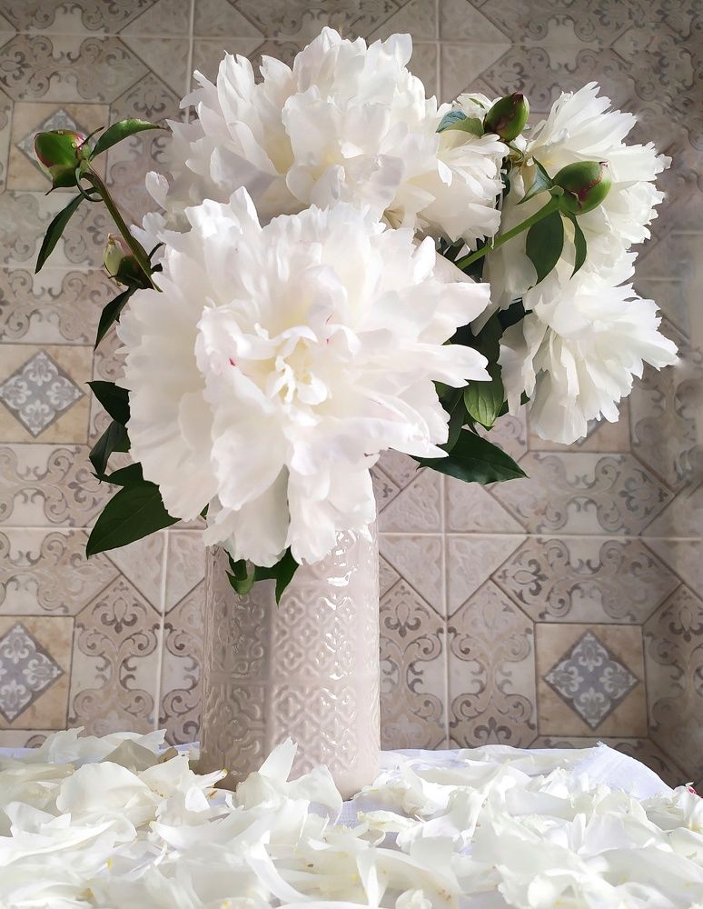 Photograph by Ольга Горох