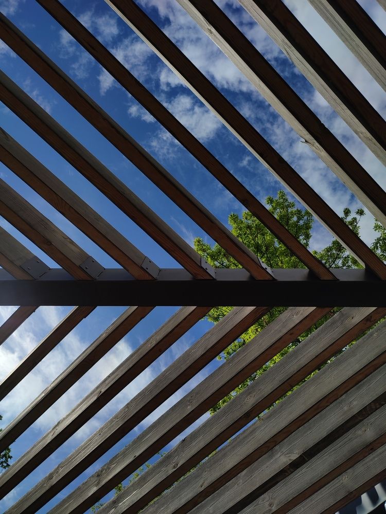 Photograph by Елена Горева