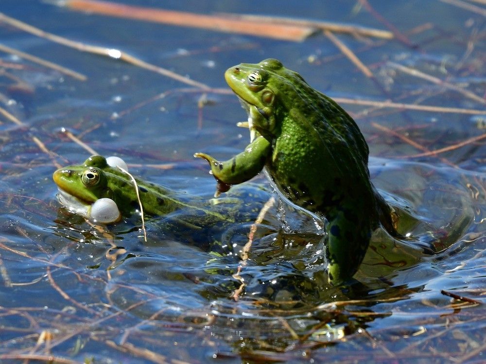 Photograph by Корнейчук Игорь