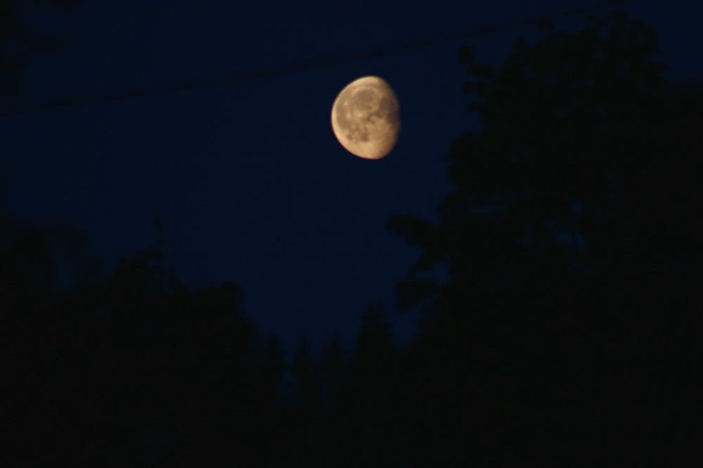 Фотография автора Егоров Максим