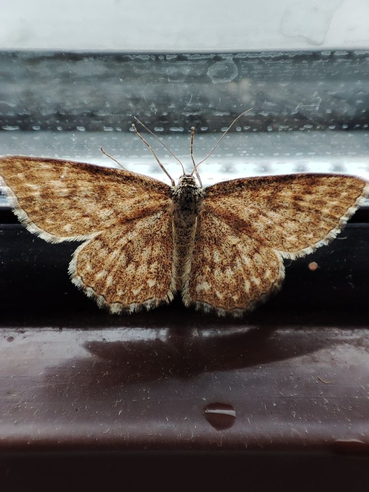 Photograph by Елена Горева