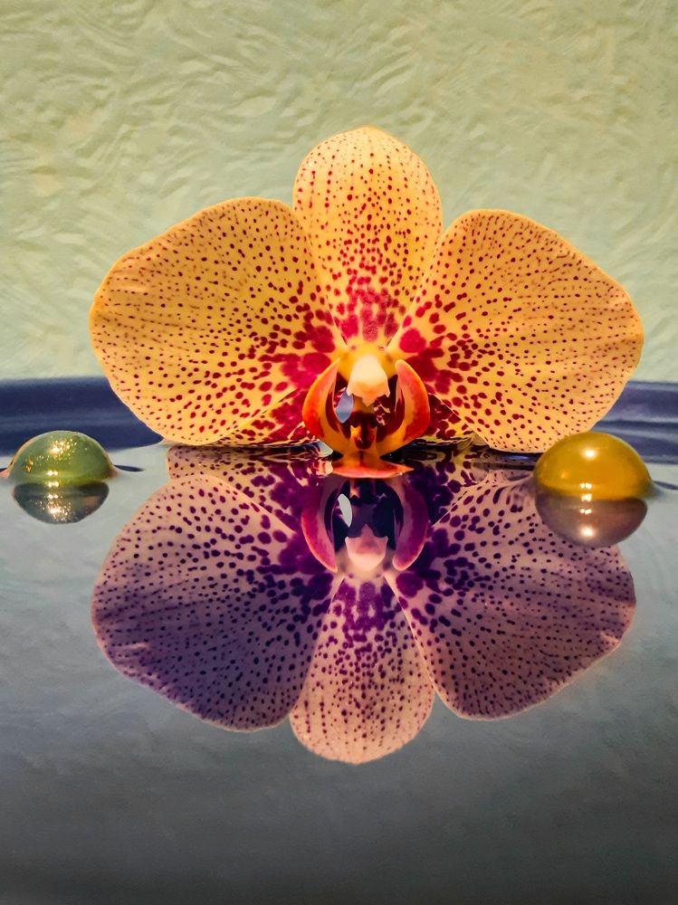 Photograph by Людмила