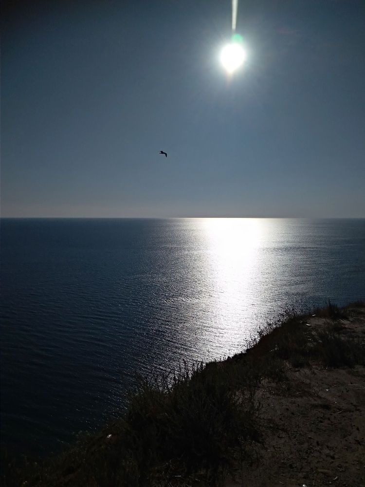 Photograph by Елена Горева