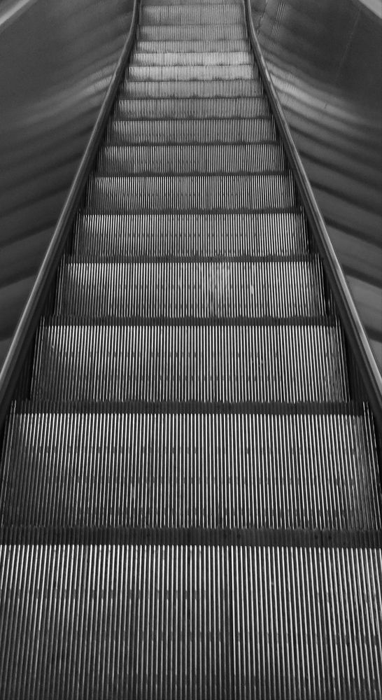 Фотография автора Васильева Ирина