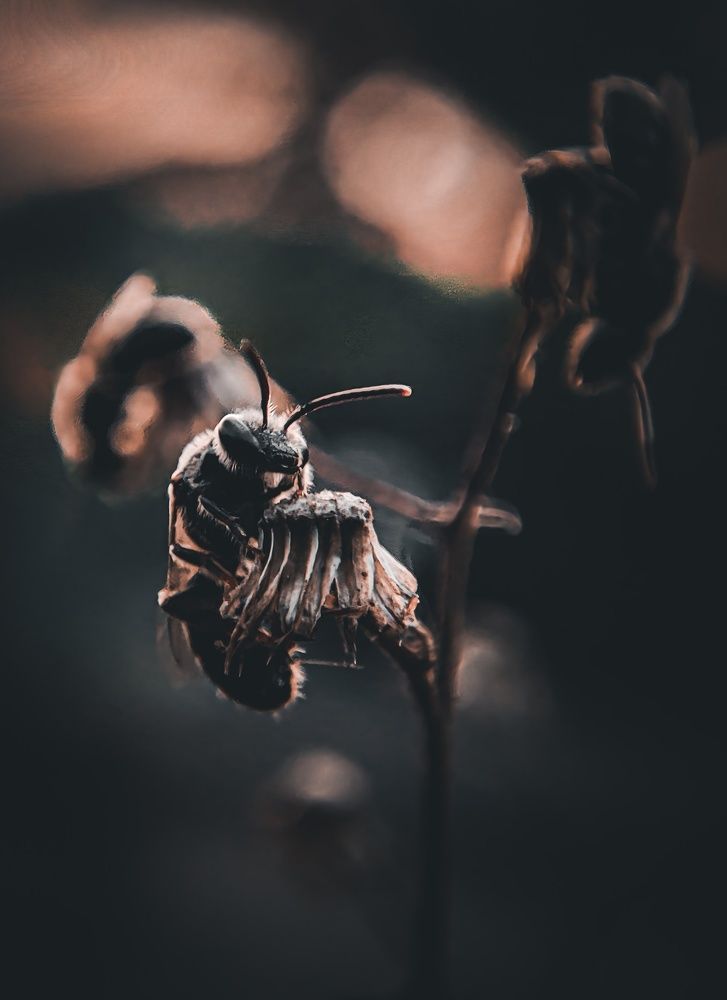 Photograph by NIKHIL RAMESH