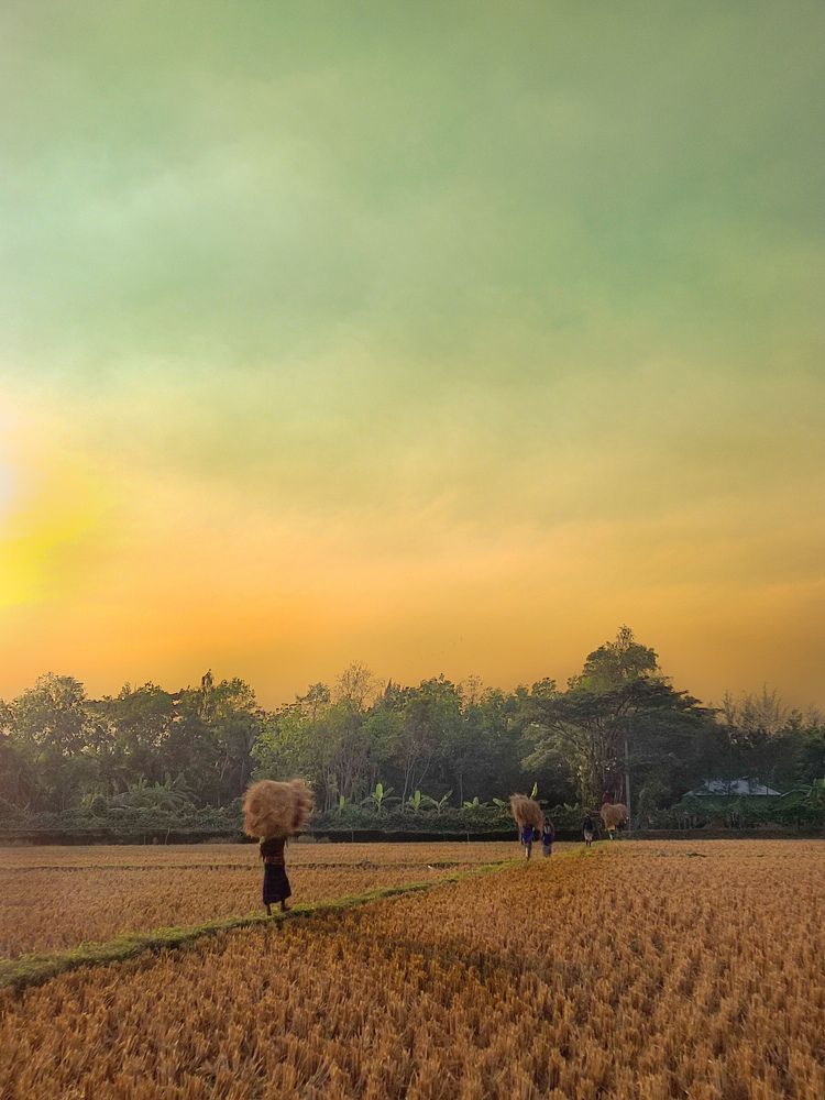 Golden month