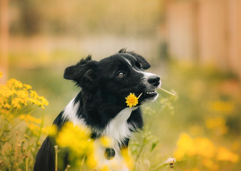 Photograph by Анастасия