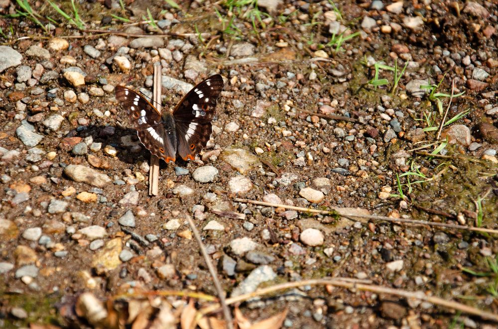 Фотография автора Войнов Дмитрий