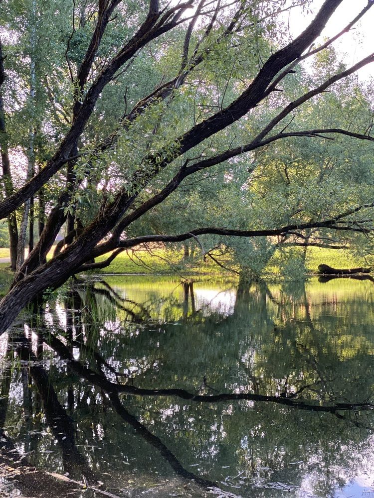 Photograph by Татьяна Маслова