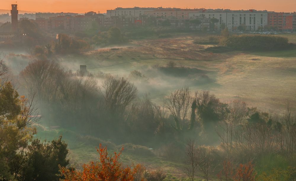 Photograph by Максимова Дария