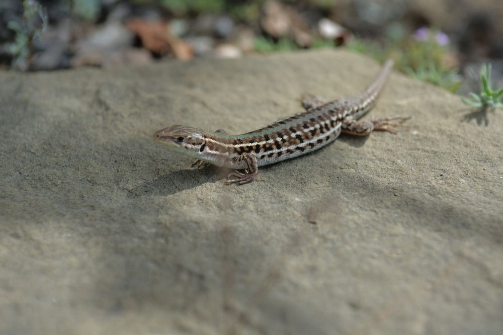 Photograph by Алексей Ильин