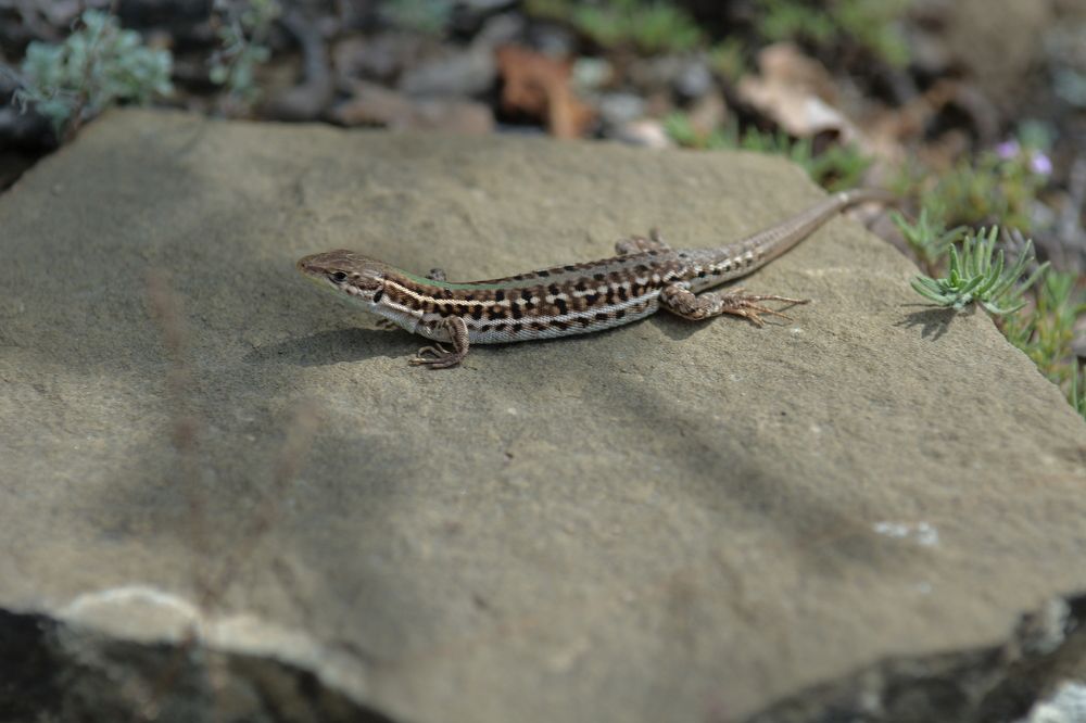 Photograph by Алексей Ильин