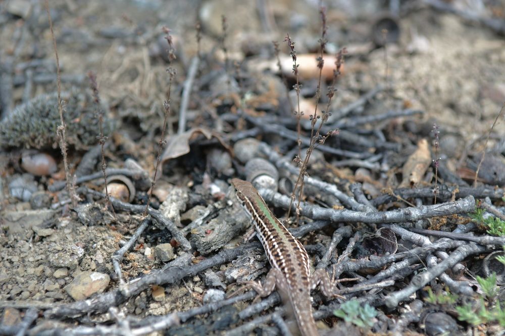 Photograph by Алексей Ильин