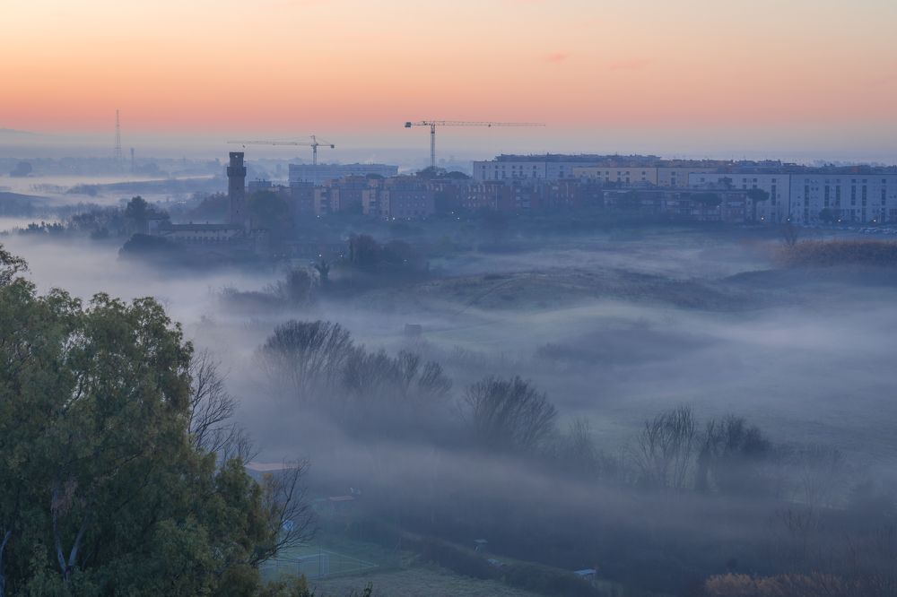 Photograph by Максимова Дария