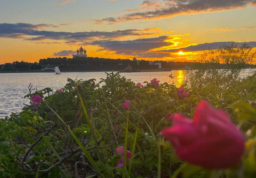 Photograph by Михаил Татанов