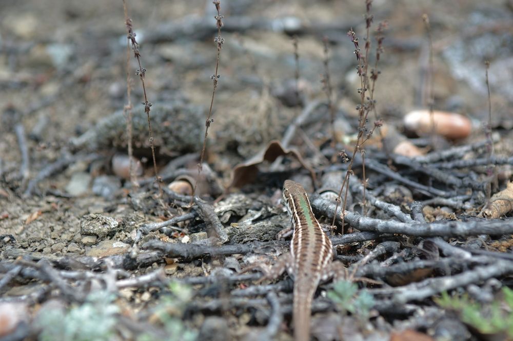 Photograph by Алексей Ильин