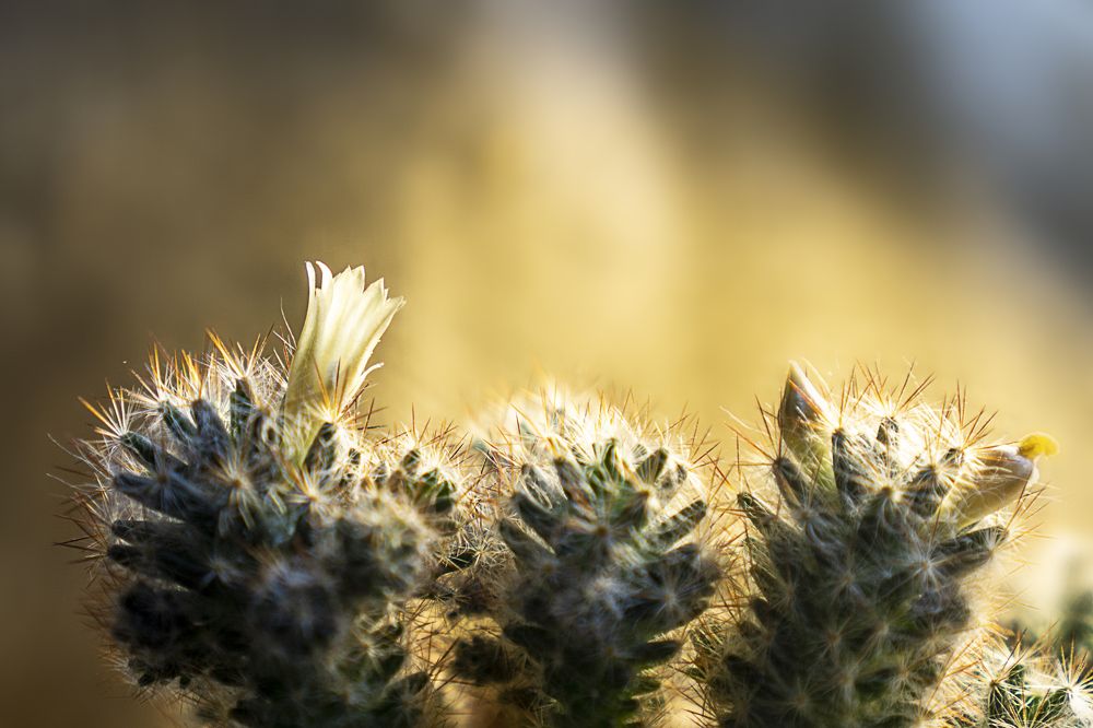 Photograph by Марина Евченко