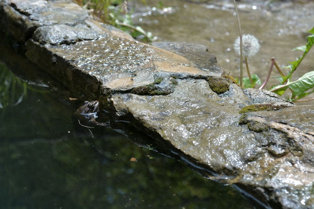 Photograph by Алексей Ильин