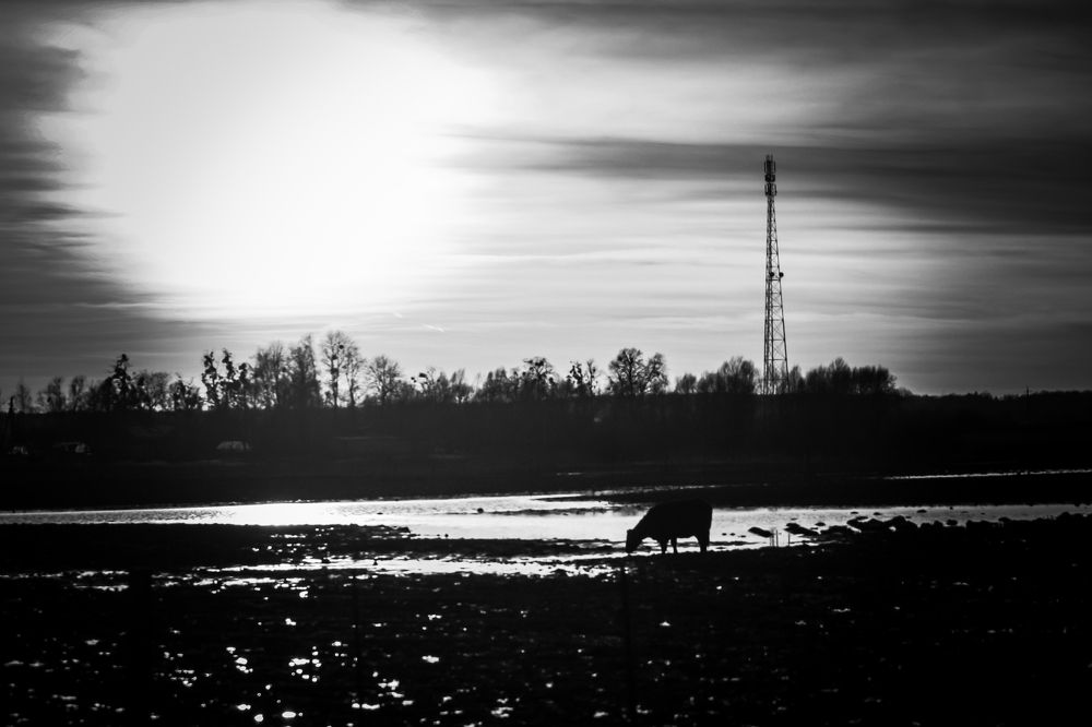 Photograph by Луценко Роман