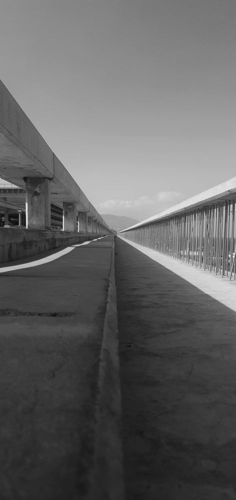 Photograph by Luis Francisco Bravo Olazabal