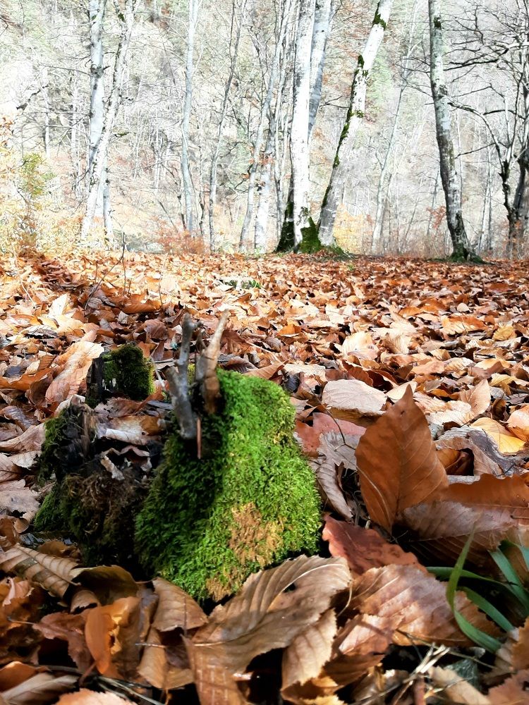 Фотография автора Наталья Гаврилова