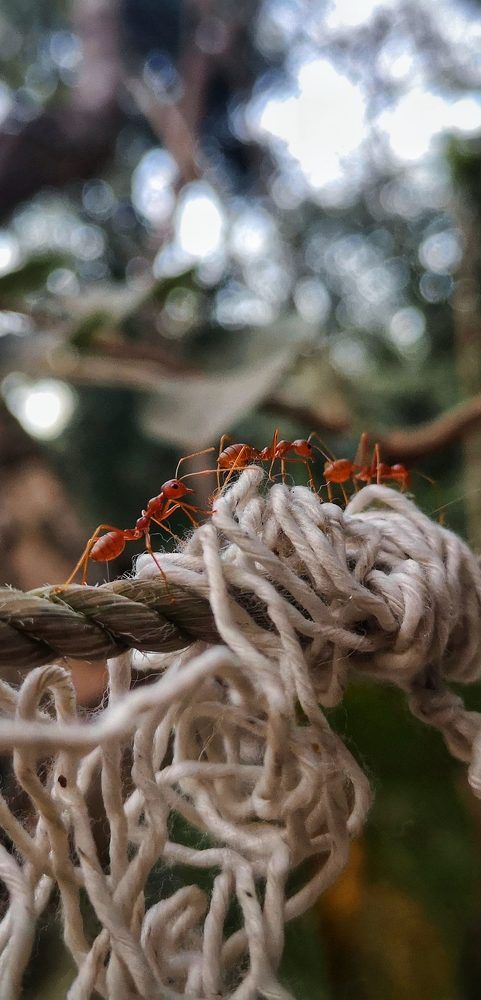 Photograph by sojib bhuyan