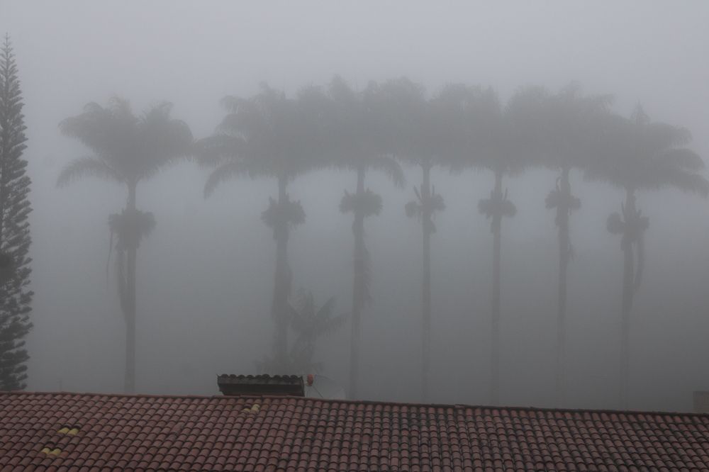 Photograph by Flávio Cavalcante