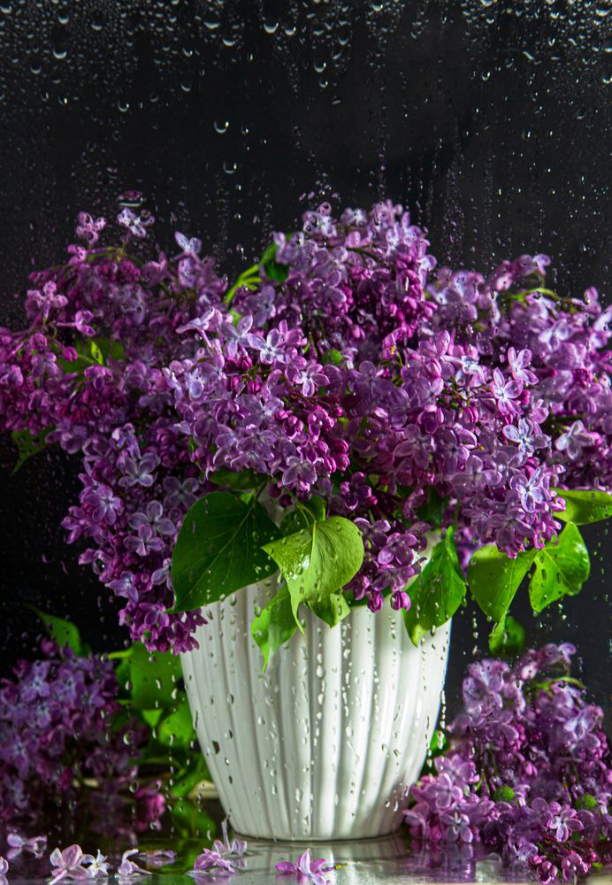 Photograph by Yulia Nikolaeva