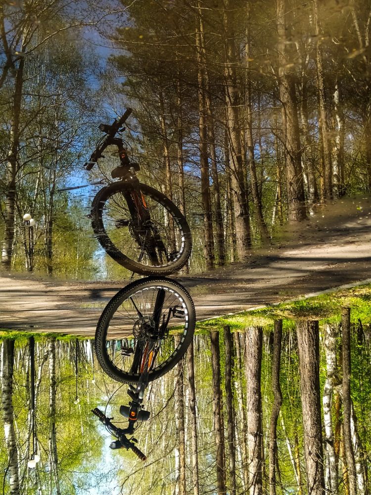 Photograph by Дарья