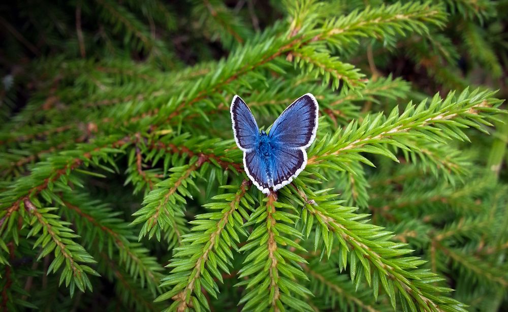 Photograph by Филиппов Олег