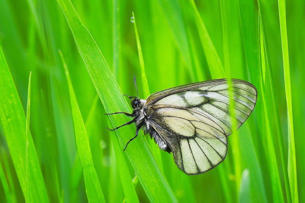 Photograph by Ковалёв Игорь