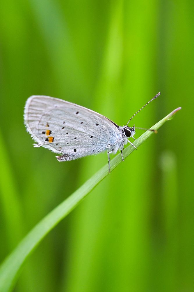 Photograph by Ковалёв Игорь