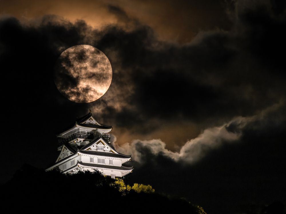 Photograph by Hiroki Matsubara