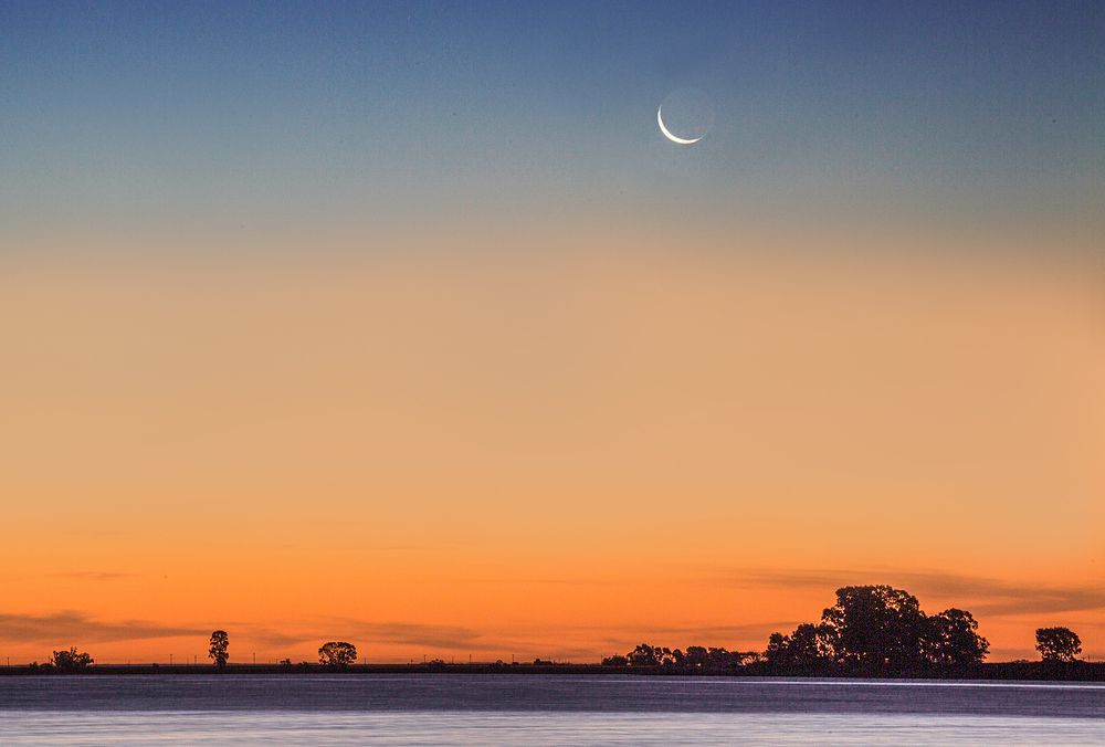 Фотография автора Marina Martorelli