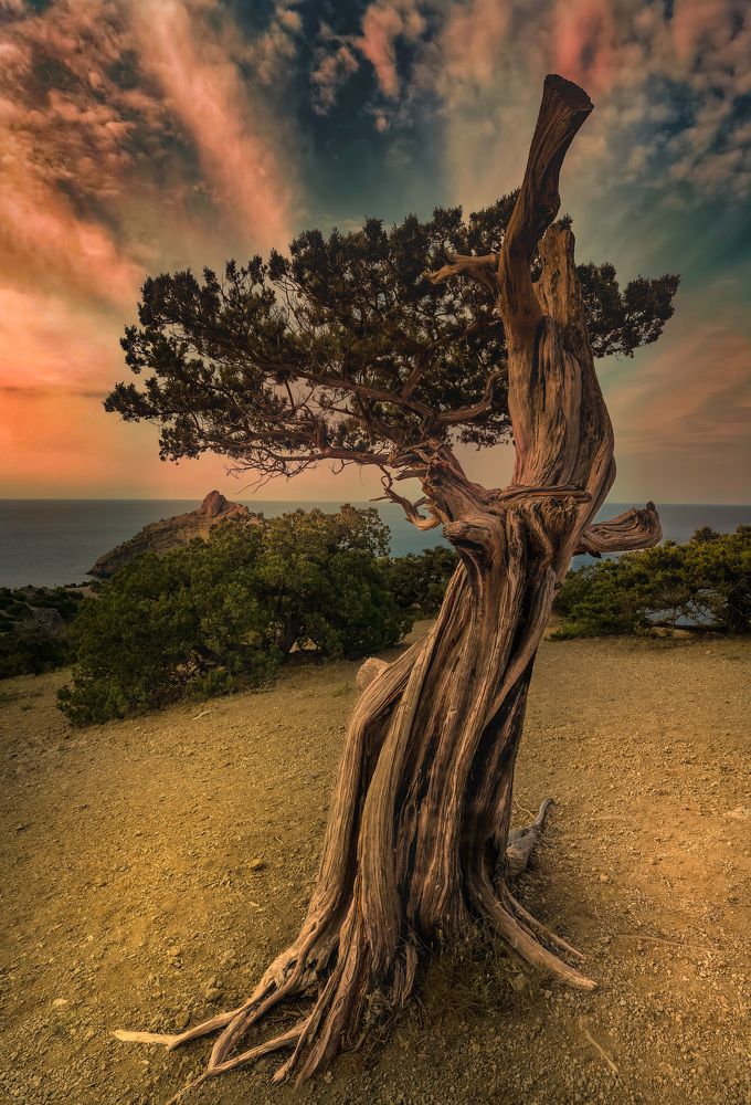 Photograph by Разумов Александр