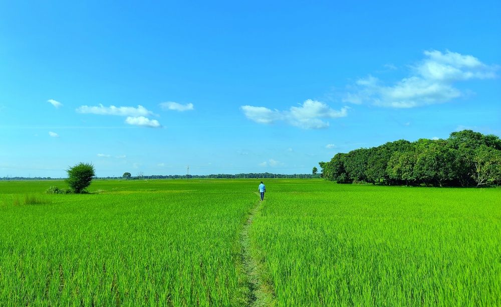 Photograph by Nishant Raj