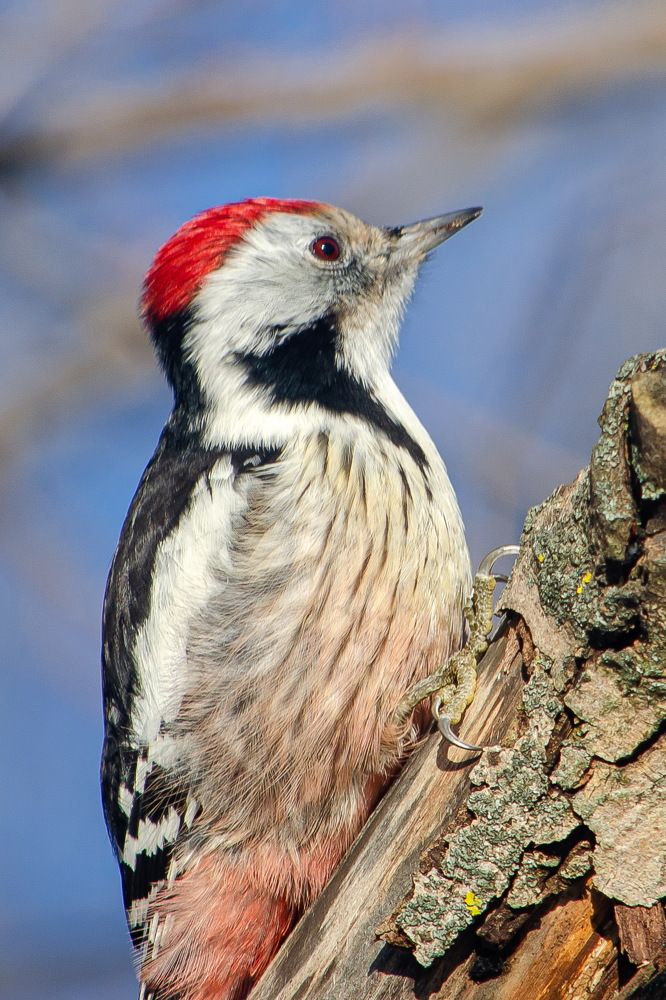 Photograph by Оксана Маховская