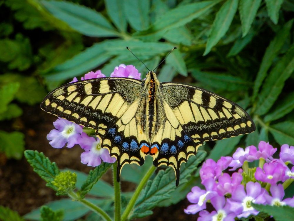 Photograph by Артем Штылев