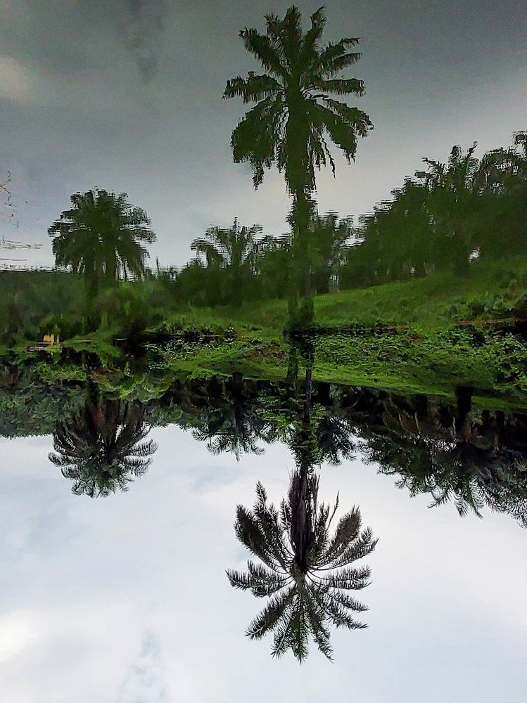 Photograph by Sajan S