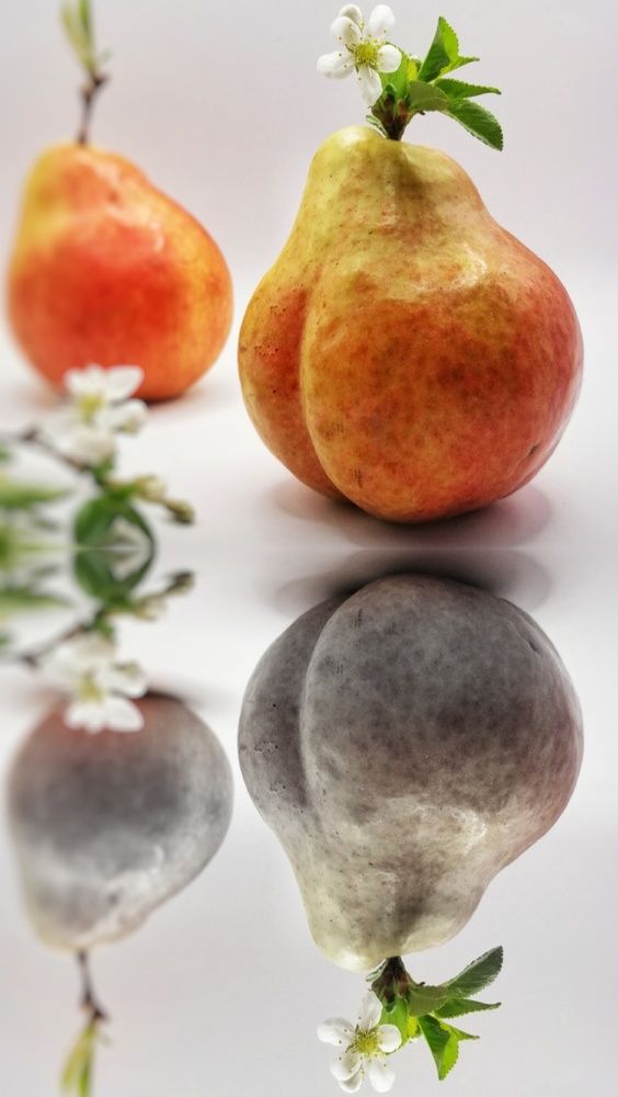 Photograph by Ирина Алпацкая