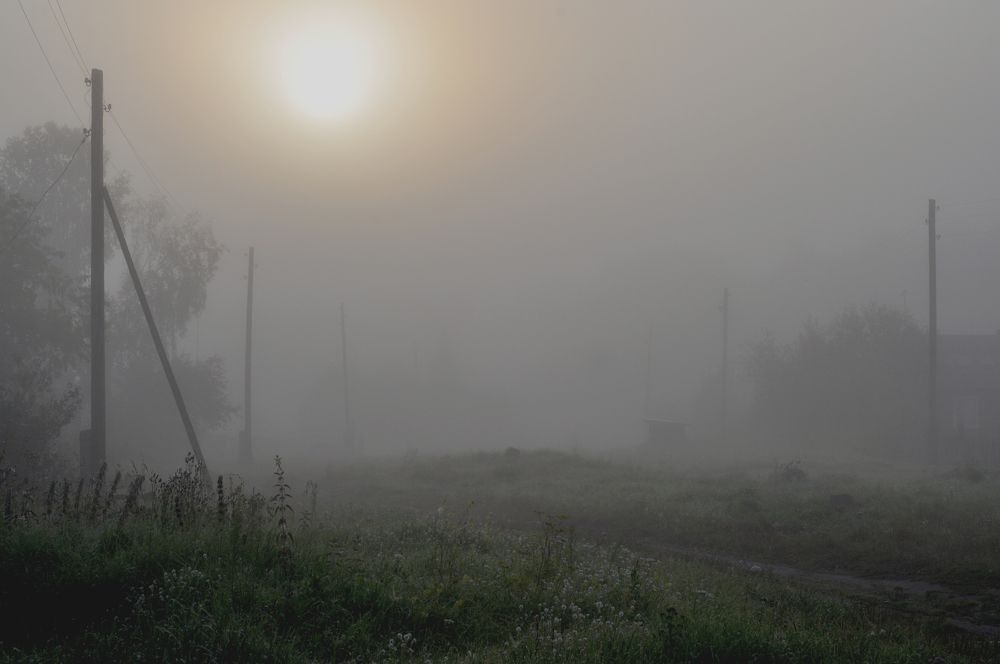 Photograph by Наталья Жарикова