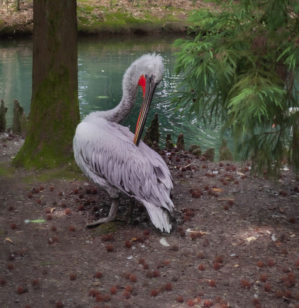 Photograph by Алекскандр Фатеев