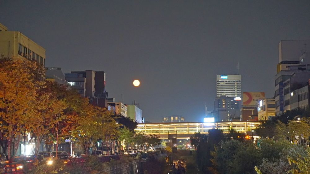 Photograph by Оксана Трофименко