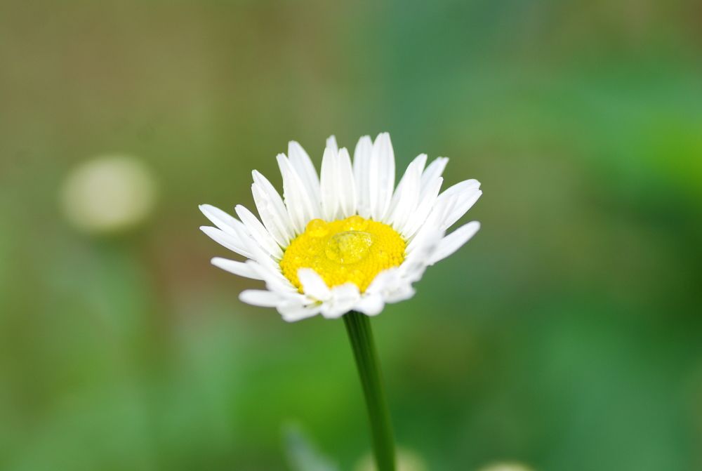 Photograph by Оксана Трофименко