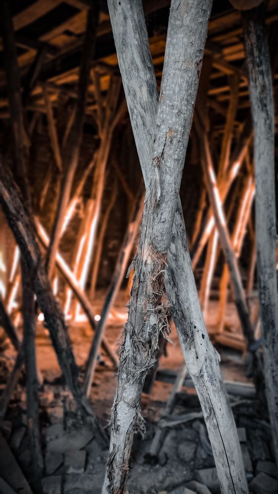 Photograph by Muhammad Aleem