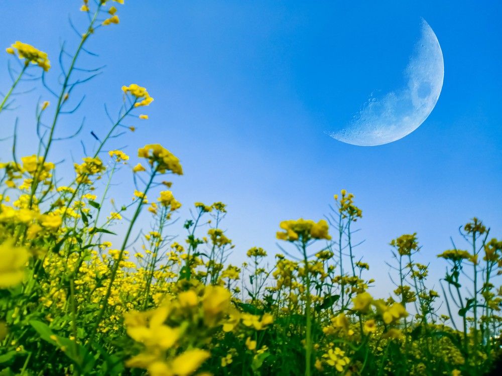 Photograph by Souvik Bhattacharyya